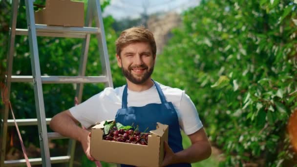 Usmívající se zahradník nesoucí třešňovou bednu v přírodní zemědělské plantáži — Stock video