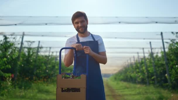 Felice contadino presente raccolto di bacche in cassa di legno a frutteto piantagione casa. — Video Stock