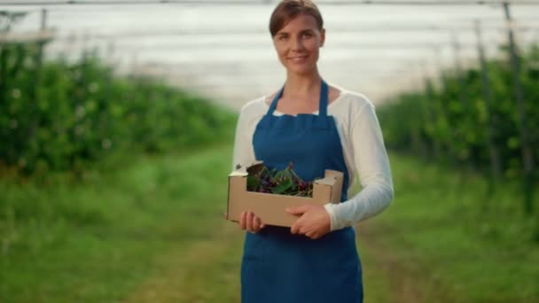 Donna giardino che presenta scatola di raccolta con bacca a piantagione di agricoltura soleggiata. — Video Stock