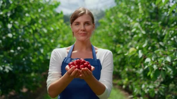 Женщина-фермер держит в руках ягодную вишню в саду местного фермерского рынка. — стоковое видео
