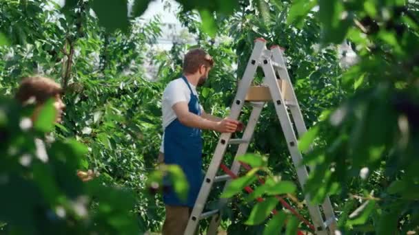 Agribusiness partners die voedsel verbouwen in een groene boomgaard verzamelen data concept — Stockvideo