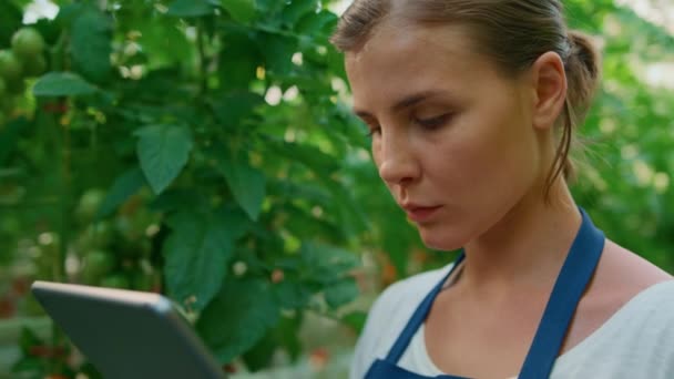 Mujer agricultora comprobando la calidad de las plantas con tableta digital en primer plano jardín. — Vídeo de stock