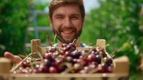 Agricoltore mostrando bacche di ciliegia alla ricerca fotocamera in frutteto piantagione casa. — Video Stock