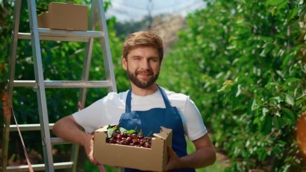 Tukang kebun memegang kotak berry organik segar di kebun musim panas besar. Konsep Agrarian — Stok Video