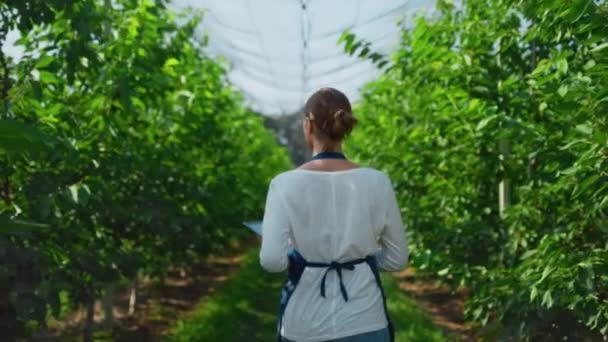 Kobieta agro specjalista kontroli wzrostu roślin w ciepłej szklarni z tabletką — Wideo stockowe