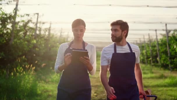 Dos agronom comprueban la cosecha usando tableta investigando productos naturales en huerto. — Vídeo de stock