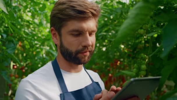 Mezőgazdasági szakember ellenőrzése növekedés minőségi tabletta üvegházhatású közelkép — Stock videók