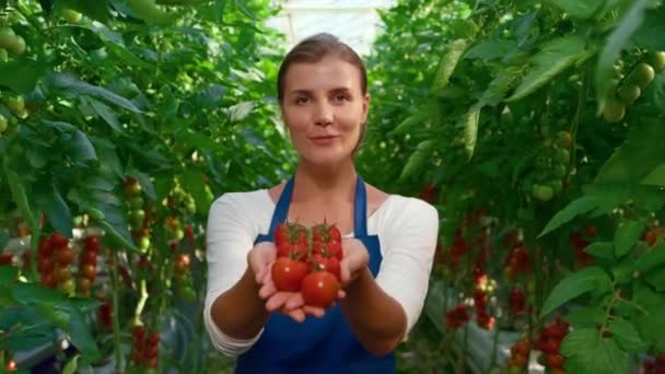 Mujer trabajadora de plantaciones mostrando verduras en el campo retrato de tierras agrícolas — Vídeo de stock