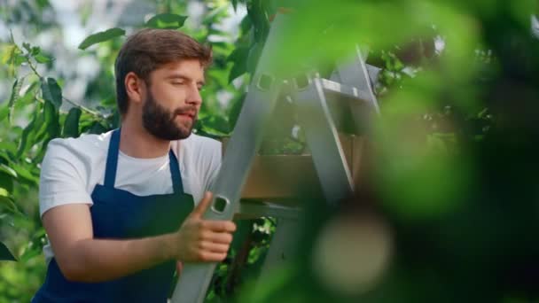 Hombre campesino sonriendo en verde gran plantación día soleado. Concepto agrícola — Vídeos de Stock