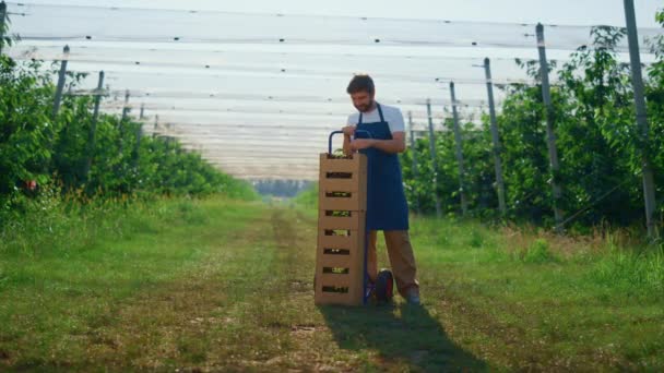 Бизнес-фермер смотрит в камеру на современный сад рядом с коробкой возле вишневого дерева. — стоковое видео