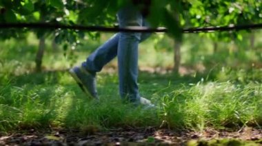 Çiftçi, güneşli tarım arazisindeki yeşil bitkileri kontrol ediyor.