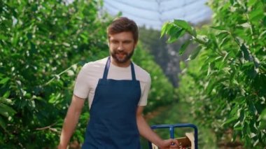 Çiftlik çalışanı ortakları tarım arazilerinde çalışıyor vişne izleme büyümesi yapıyor