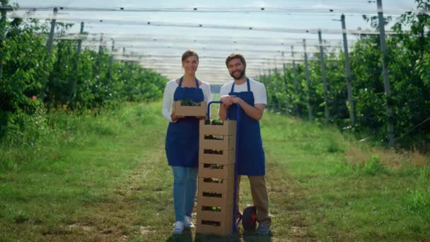 Attraktivt par med bärbox i modern solig sommarträdgård. Jordbrukskoncept. — Stockvideo