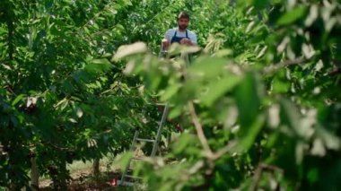 Tarım ekibi yeşil tarım arazilerindeki kalite seviyesini inceleyen bitkileri tartışıyor