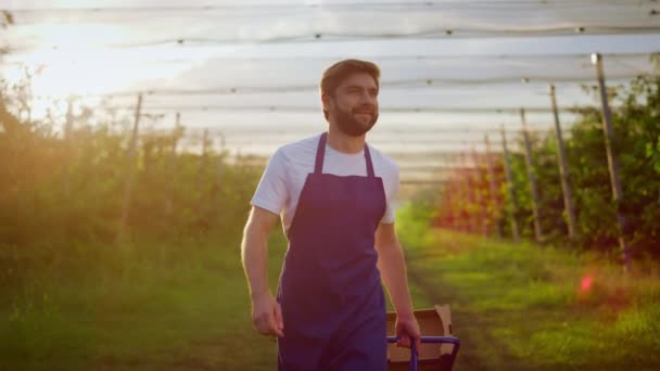 Profesionální farmář používající zařízení pro kontrolu rostlinné výroby v sadové farmě. — Stock video