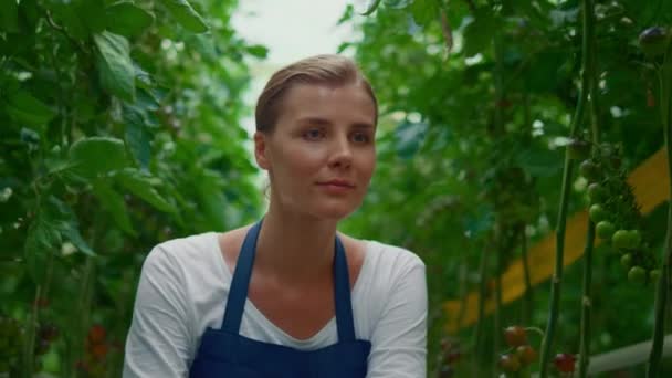 Beautiful woman farmer inspect tomato plantation. Fresh ripe vegeculture grower. — Stock Video