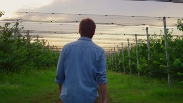 Farmer Mann zu Fuß Gewächshaus allein bei schönem Sonnenuntergang Landwirtschaft Plantage. — Stockvideo