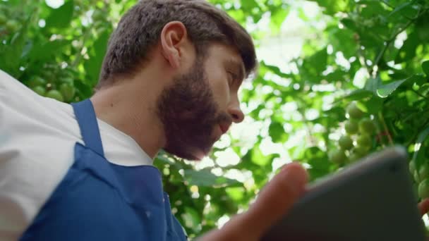 Spécialiste agricole inspecter plante avec comprimé dans le verger biologique portrait — Video