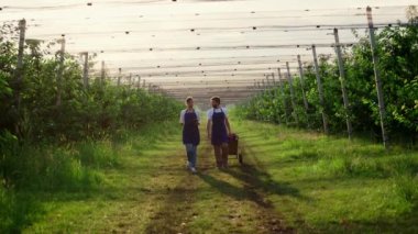 İki çiftçi tarım kalitesinde dijital tablet kontrol ürünü kullanarak mahsulü teftiş ediyor