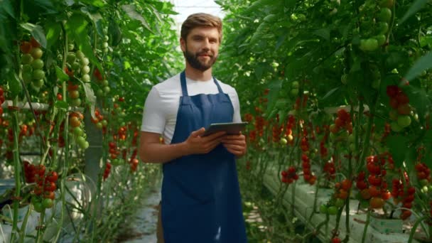Yenilikçi serada tarımcı domates yetiştirme sürecini kontrol ediyor — Stok video