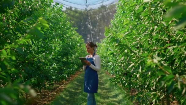 Kobieta rolnik zbieranie danych z nowoczesnym urządzeniem w zielonej plantacji uśmiechnięty — Wideo stockowe