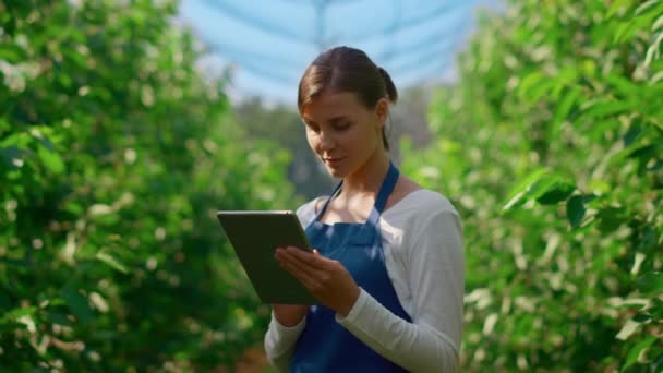Jardineiro mulher inspecionando árvores com dispositivo tecnológico em grande plantação — Vídeo de Stock