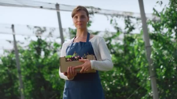 Ogrodnik gospodarstwa berry box korzystających z pracy w spokojnej koncepcji ekologicznego ogrodu — Wideo stockowe