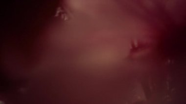 Ağaç çiçekleri gökyüzüne karşı dallarla çiçek açıyor. Çekici çiçek arkaplanı.