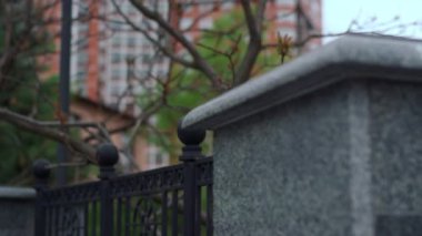 Şehir parkına karşı büyük bina manzarası harika bir bahar ağacı çiçek açıyor..