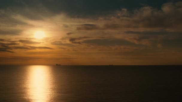 Luchtfoto silhouet boom bij gouden zonsondergang hemel. Oranje zonlicht reflecteert — Stockvideo