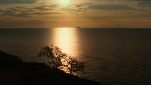 Vista panorâmica da costa com árvores a crescer à beira-mar. Fantástico céu nublado. — Vídeo de Stock