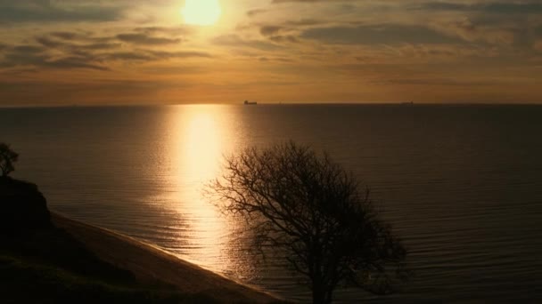 Tranquillo mare vista aerea. Silhouette dell'albero spiaggia di mare. Riflessione luce del sole — Video Stock