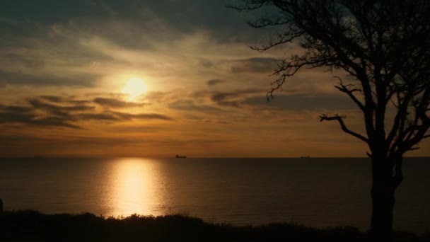 Sílhueta de árvore voadora de zangão ao pôr-do-sol dourado refletindo na superfície da água do mar. — Vídeo de Stock