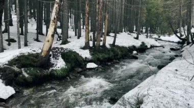 Açık havada su dokusu. Güçlü su akıntısı. Birçok taşlı akıntıyla hızlı akarsu