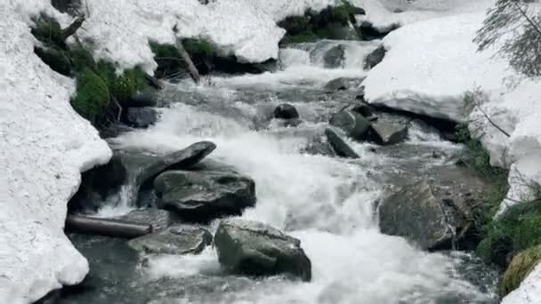 美丽的河水和冬天的雪.山川雪山. — 图库视频影像