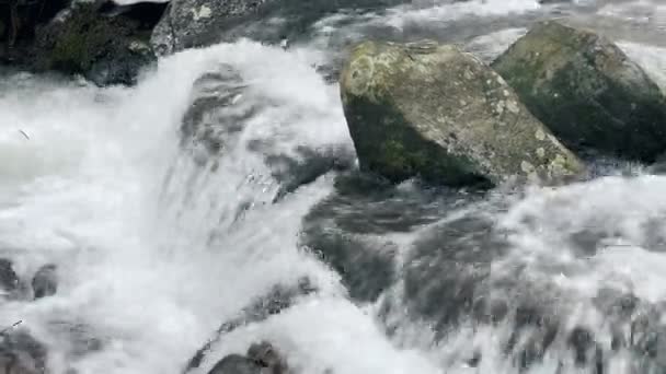 Rivier snel. Boulders in de rivier. Close-up natte rotsblokken en schuimige bergrivier. — Stockvideo