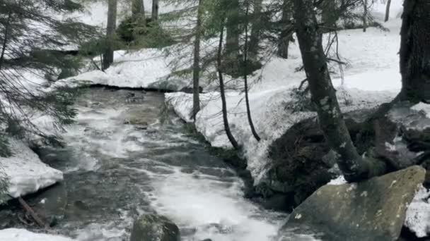 Folyó gyors, havas táj a téli erdőben. Szoros folyó gyorsan. Tavaszi olvadás. — Stock videók