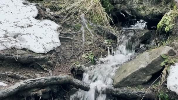 Весенний ручей в лесу с тающим снегом. Маленький водопад в весеннем пейзаже. — стоковое видео