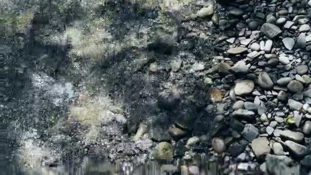 在卵石背景上清澈的小河，有巨大的山体巨石。快速水流. — 图库视频影像