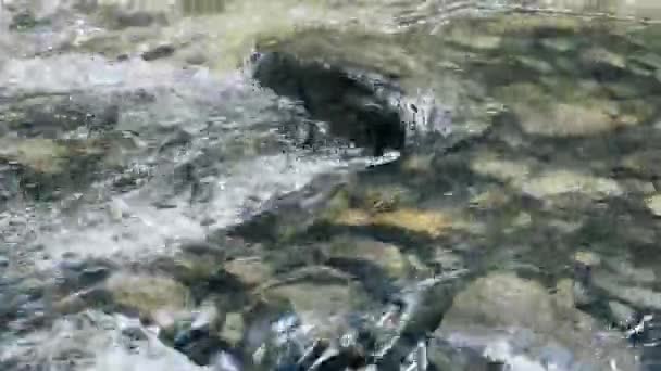 Górski strumień na kamiennym krajobrazie. Zbliżenie strumienia czystej wody z pianką na skale. — Wideo stockowe