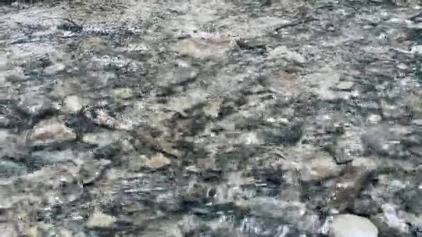 Čistý říční potok vody ve štěrkovém pozadí makro. Closeup swift mountain river — Stock video