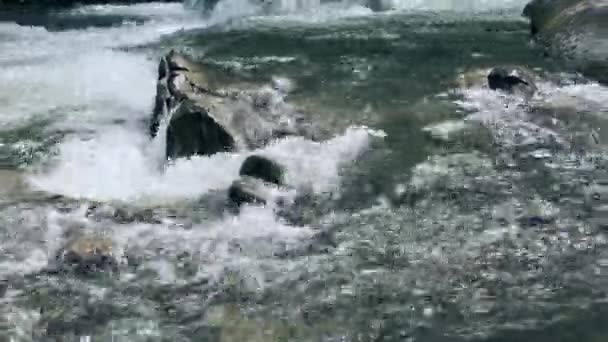 Watertextuur in heldere beek in bergrotsen. Waterstroming op stroomversnellingen. — Stockvideo