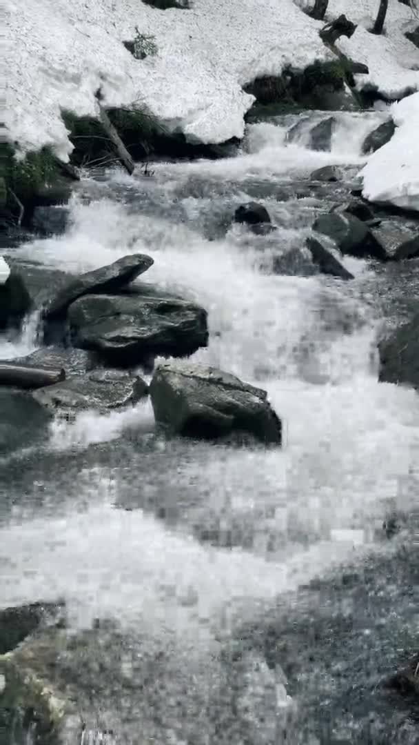 Řeka voda v kamenné krajině vertikální pohled. Horský potok v zimním lese. — Stock video