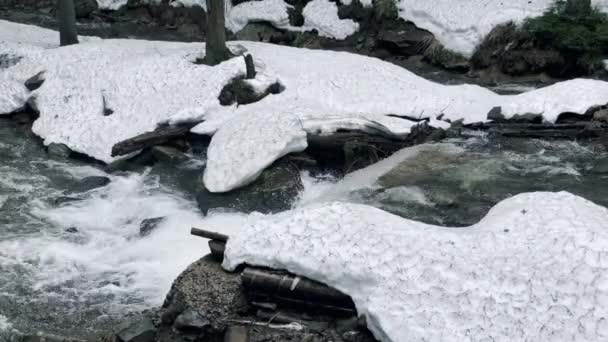 Kış ormanındaki küçük şelalenin su dokusu. Nehir hızlı ve ıslak kaya. — Stok video