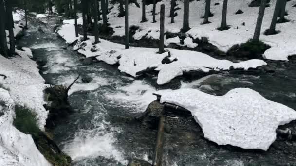 Cascata naturale d'acqua di fiume nella foresta invernale. Paesaggio invernale con acqua rapida — Video Stock