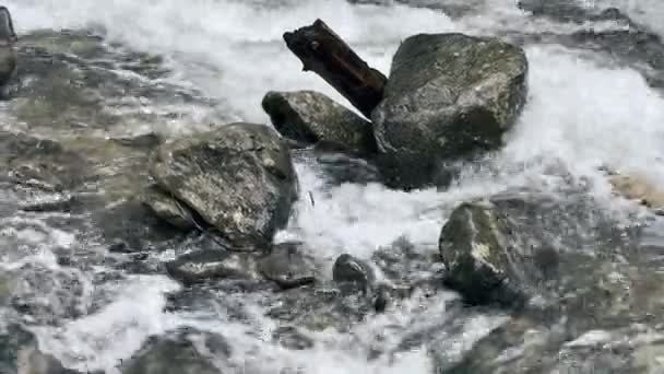 Findling auf kaltem Wasser Hintergrund. Makro schoss nassen Stein in schnellen Gebirgsfluss. — Stockvideo