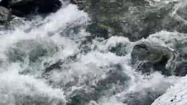 Zúgás a folyóban. Nedves sziklák viharos vízáramlásban. Szoros habos folyó gyors. — Stock videók