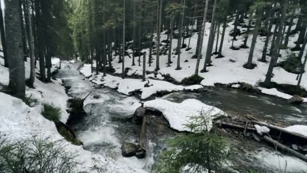 Речной водопад в природе. Маленький водопад на зимнем фоне. — стоковое видео