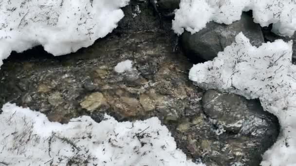 Río puro bajo nieve invernal. Flujo frío de primer plano en el fondo de la naturaleza. — Vídeos de Stock