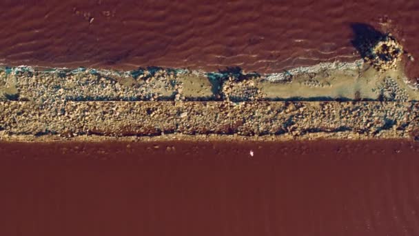 Luchtfoto donker roze uitzicht op zee met kleine zandlijn. Zonnige dag aan de kust. — Stockvideo